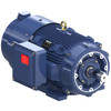 Y589A, 100 HP, 3 Ph, 60 Hz, 230/460 V, 1200 RPM, 444TC Frame, TEBC-AXIAL, Blue Max® Inverter Duty Encoder Motor, 444THFCD8384