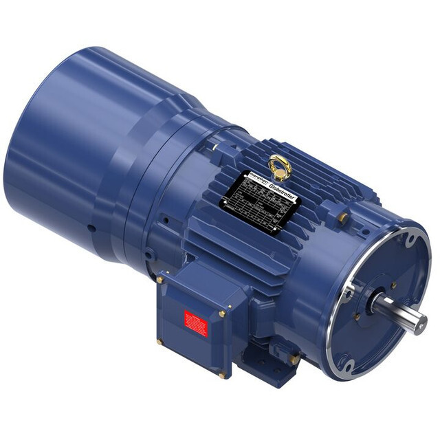 Inverter Duty Motor