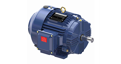 General Purpose Single Phase Totally Enclosed