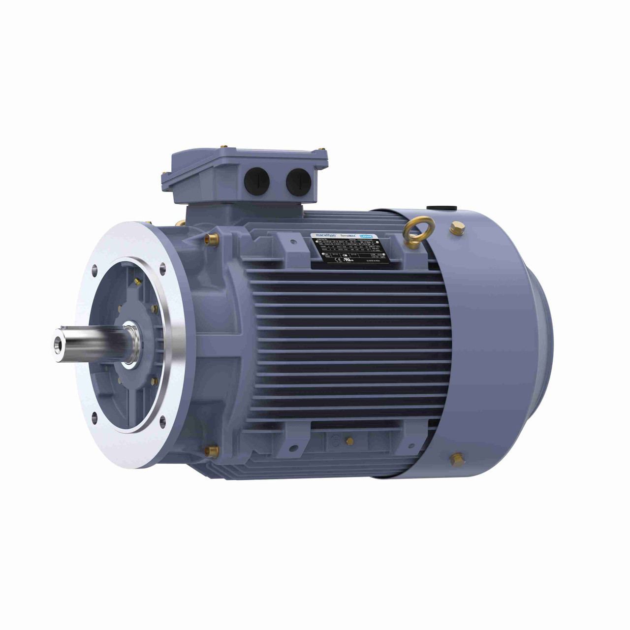 R243, 30 Hp, 1800 Rpm, 180L FR, 230/460 Vac, 3 PH, TEFC, Rigid Base, Globetrotter IEC Frame Motor, TCA0222AE221GAA009.