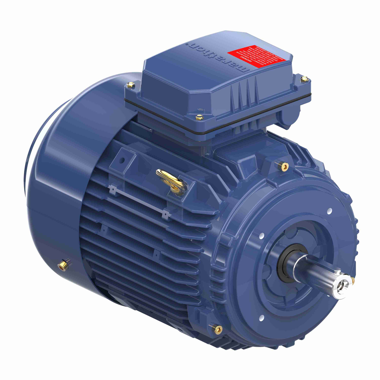 R617, 1 1/2 Hp, 1200 Rpm, 100L FR, 230/460 Vac, 3 PH, TEFC, Rigid Base, Globetrotter IEC Frame Motor, TCA1P13AE271GAA009.