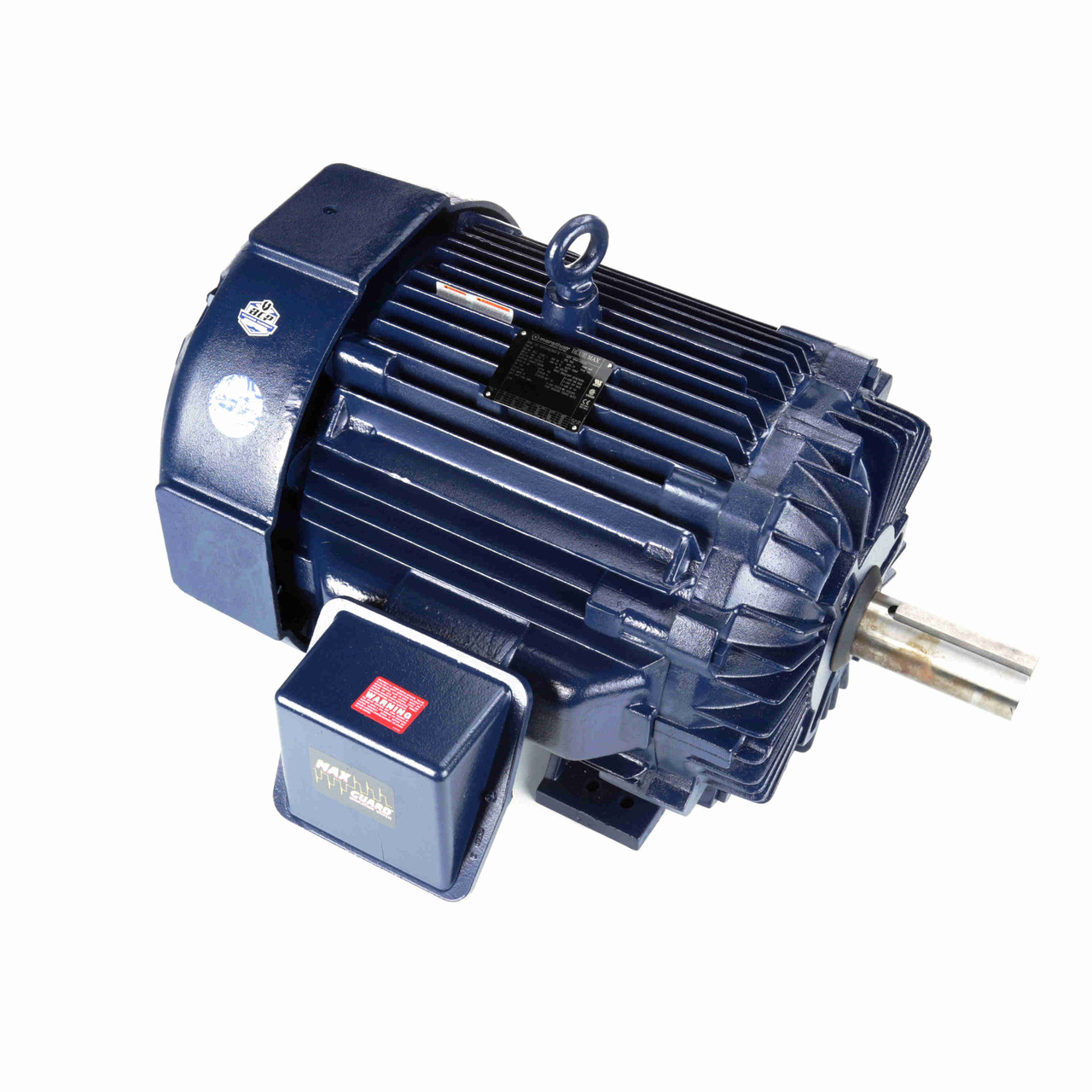 Y576, 125 Hp, 1800 Rpm, 444T FR, 460 V, TEFC, Rigid Base, Inverter Duty, Blue Max 2000, 444THFN8036.