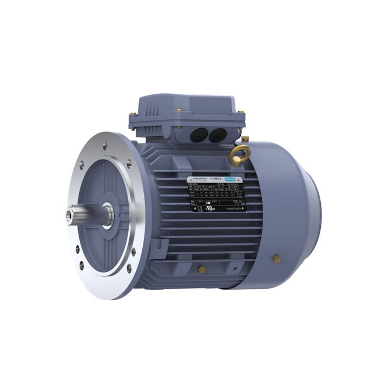 R222, 3 & 2 HP, 3 Ph, 60 & 50 Hz, 230/460 & 200/400 V, 1800 & 1500 RPM, 100L Frame, TEFC, Cast Iron Motor, TCA2P22AE221GAA009