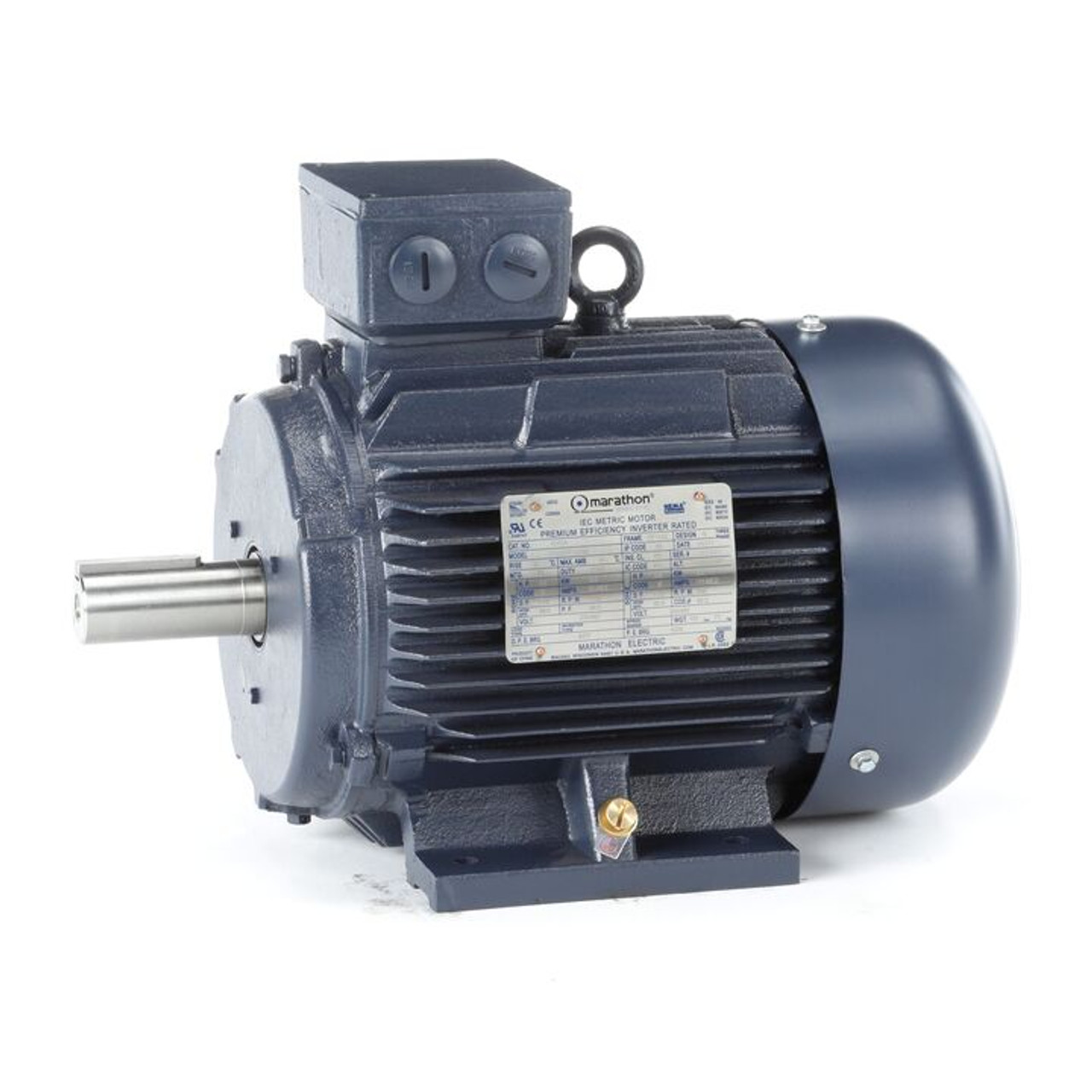 R353A, 4 & 3 HP, 3 Ph, 60 & 50 Hz, 230/460 & 200/400 V, 1200 & 1000 RPM, 132S Frame, TEFC, Globetrotter® IEC Cast Iron Motor, 132STFC6586