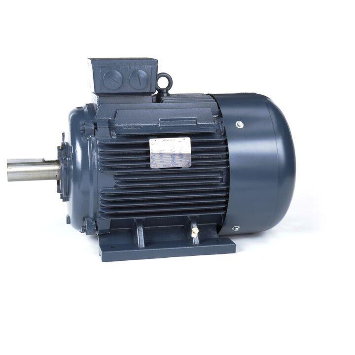 R504, 75 & 60 HP, 3 Ph, 60 & 50 Hz, 230/460 & 200/400 V, 1800 & 1500 RPM, 250M Frame, TEFC, Globetrotter® IEC Cast Iron Motor, 250MTFC6526