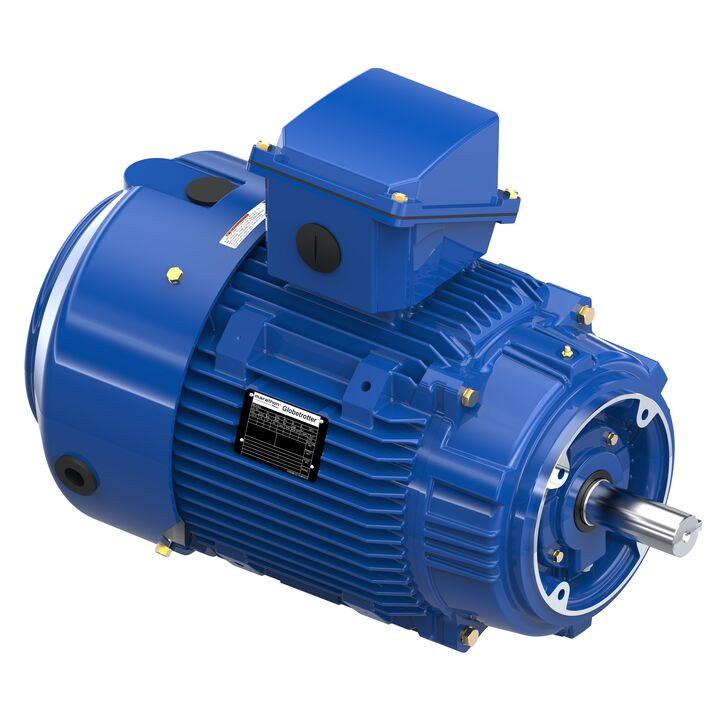 W053-P, 20 HP, 3 Ph, 60 Hz, 460 V, 1800 RPM, 256TCV Frame, TEFC, XRIÂ®-841 Severe Duty Motor, 256THFCD9040