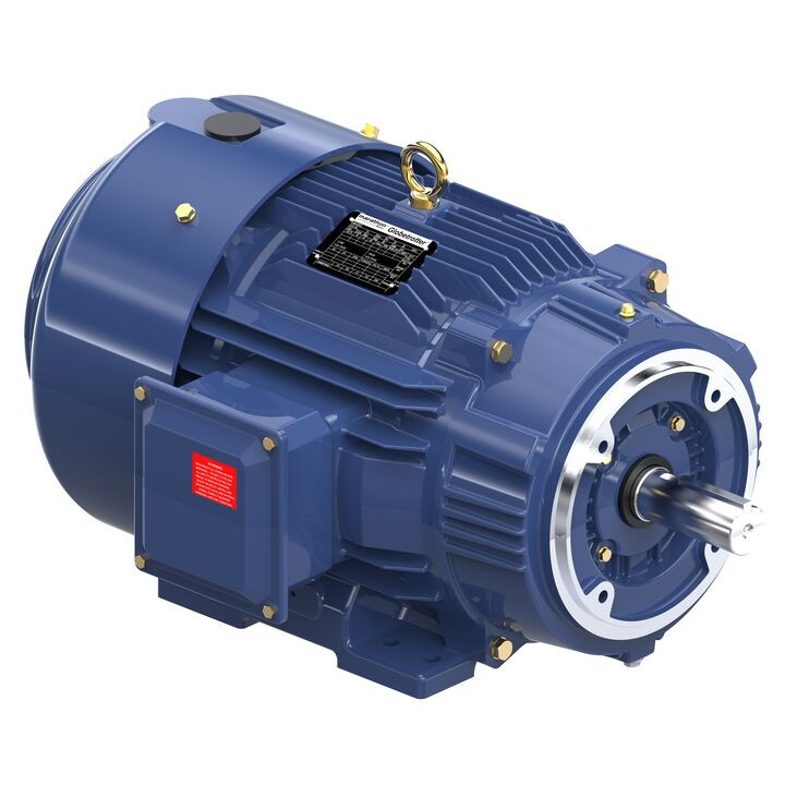 Y598A, 20 HP, 3 Ph, 60 Hz, 230/460 V, 1800 & 1800 RPM, 256TC Frame