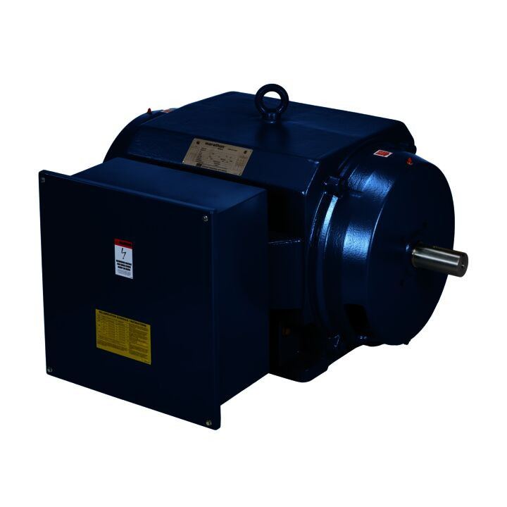 Y9130, 1500HP,2P,ODP,5810S,3/60/2300/4000-4160,CW/DE,120VSH,WRTD-SH,BRTD PROV, Endurance Series® MODEL-IHP, 5810SVDSL16003