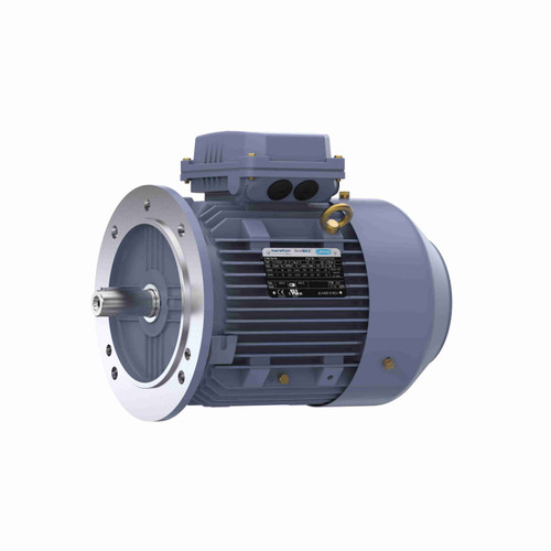 R252, 4 Hp, 1800 Rpm, 100L FR, 230/460 Vac, 3 PH, TEFC, Rigid Base, Globetrotter IEC Frame Motor, TCA0032AE221GAA009.