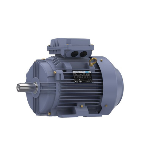 R353B, 4 & 3 HP, 3 Ph, 60 & 50 Hz, 230/460 & 200/400 V, 1200 & 1000 RPM, 132S Frame, TEFC, Cast Iron Motor, TCA0033AE211GAA009