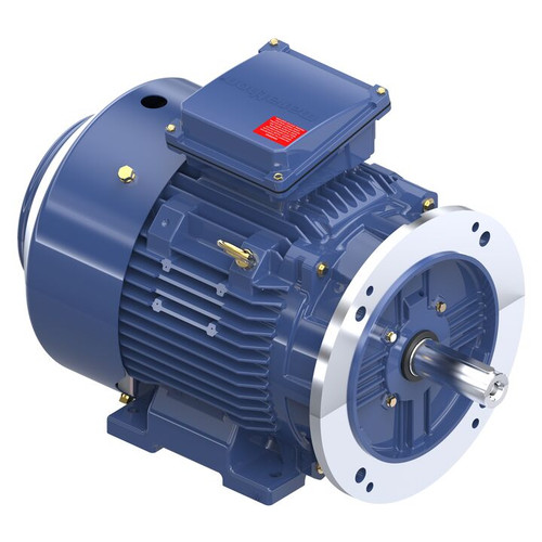 R833, 15 & 10 HP, 3 Ph, 60 & 50 Hz, 230/460 & 200/400 V, 3600 & 3000 RPM, 160M Frame, TEFC, TerraMAX® Cast Iron Motor, TCA0111AE231GAA009