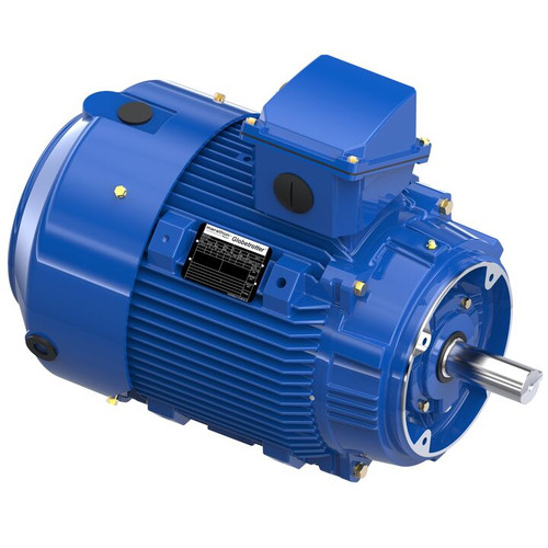 W067-P, 30 HP, 3 Ph, 60 Hz, 460 V, 1800 RPM, 286TCV Frame, TEFC, XRI®-841 Severe Duty Motor, 286THFCD9040 W067-P, 30 HP, 3 Ph, 60 Hz, 460 V, 1800 RPM, 286TCV Frame, TEFC, XRI®-841 Severe Duty Motor, 286THFCD9040