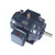GT0044A, 75 Hp, 1200 Rpm, 405T FR, 230/460 Vac, 3 PH, General Purpose, Globetrotter, Dripproof, 405TTDCD6081.