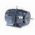 GT0576, 50 Hp, 3600 Rpm, 324JM FR, 575 Vac, 3 PH, Dripproof, C-face Footed, Close-Coupled Pump, JM, 324TTDBD6008.