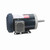 GT3203, 1 1/2 Hp, 3600 Rpm, 143JM FR, 575 Vac, 3 PH, TEFC, C-Face Footed (Rigid Base), Closed-Coupled Pump, JM, 143TTFR16013.
