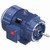 GT3434A, 40 Hp, 1800 Rpm, 324JP FR, 230/460 Vac, 3 PH, TEFC, C-Face Footed (Rigid Base), Closed-Coupled Pump, JP, 324TTFCD6037.