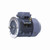 R220, 2 Hp, 1800 Rpm, 100L FR, 230/460 Vac, 3 PH, TEFC, Rigid Base, Globetrotter IEC Frame Motor, TCA1P53AE221GAA009.