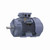 R439, 25 Hp, 3600 Rpm, 160L FR, 575 Vac, 3 PH, TEFC, Rigid Base, Globetrotter IEC Frame Motor, TCA18P1AP211GAA009.