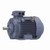 R501A, 60 Hp, 1800 Rpm, 225M FR, 230/460 Vac, 3 PH, TEFC, Rigid Base, Globetrotter IEC Frame Motor, TCA0452AE211GAA009.