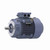 R639, 25 Hp, 3600 Rpm, 160M FR, 230/460 Vac, 3 PH, TEFC, Rigid Base, Globetrotter IEC Frame Motor, TCA18P1AE271GAA009.