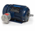 U083A, 125 Hp, 1800 Rpm, 444TS FR, 460 Vac, 3 PH, EPFC, Rigid Base, Hazardous Duty Explosion Proof Motor, 444TSTGN16531.