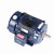 W522, 3 Hp, 900 Rpm, 215T FR, 460 Vac, 3 PH, TEFC, Rigid Base, Severe Duty XRI IEEE-841 Efficiency Motor, 215THFS9101.