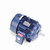 W529, 5 Hp, 900 Rpm, 254T FR, 460 Vac, 3 PH, TEFC, Rigid Base, Severe Duty XRI IEEE-841 Efficiency Motor,  254THFNA9101.