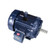Y519, 150 Hp, 1800 Rpm, 445T FR, 460 Vac, 3 PH, TEBC, Rigid Base, Inverter Duty, Blue Max 2000, 445THFN8046