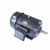 Y840A, 50 Hp, 1200 Rpm, 365T FR, 230/460 Vac, 3 PH, Aggregate Duty, High Torque, Totally Enclosed, Rigid Base, 365TTFC6683.