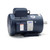 131601.00, 3 HP, 1 Ph, 50 Hz, 220 V, 1500 RPM, 184T Frame, TEFC, Special Voltage Motor,  P184C14FB7C