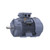 141235.00, 15 & 10 HP, 3 Ph, 60 & 50 Hz, 230/460 & 190/380 V, 3600 & 3000 RPM, 215TC Frame, TEFC, General Purpose Motor, C215T34FC8AA