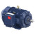 E1252 , 150 HP, 3 Ph, 60 Hz, 460 V, 1800 RPM, 445T Frame, TEFC, XRIÂ®-SD Severe Duty Motor, 445TTFCD6635