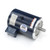 GT0318, 10 & 7.50 HP, 3 Ph, 60 & 50 Hz, 230/460 & 190/380 V, 3600 & 3000 RPM, 213TC Frame, DP, GlobetrotterÂ® General Purpose Motor, 213TTDBD6004