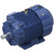 GT10115, 15 & 10 HP, 3 Ph, 60 & 50 Hz, 230/460 & 190/380 V, 900 & 750 RPM, 286T Frame, TEFC, GlobetrotterÂ® General Purpose Motor, 286TTFCD6106