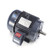 GT1014A-P, 5 & 3 HP, 3 Ph, 60 & 50 Hz, 230/460 & 190/380 V, 1200 & 1000 RPM, 215T Frame, TEFC, GlobetrotterÂ® General Purpose Motor, 215TTFCD6077