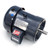 GT12174, 15 & 10 HP, 3 Ph, 60 & 50 Hz, 230/460 & 190/380 V, 3600 & 3000 RPM, 215TC Frame, TEFC, GlobetrotterÂ® General Purpose Motor, 215TTFBD6001