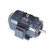 GT13174, 15 & 10 HP, 3 Ph, 60 & 50 Hz, 230/460 & 190/380 V, 3600 & 3000 RPM, 215TC Frame, TEFC, GlobetrotterÂ® General Purpose Motor, 215TTFBD6005