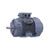 R417, 1.50 HP, 3 Ph, 60 Hz, 575 V, 1200 RPM, 100L Frame, TEFC, Cast Iron Motor, TCA1P13AP211GAA009