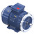 R833, 15 & 10 HP, 3 Ph, 60 & 50 Hz, 230/460 & 200/400 V, 3600 & 3000 RPM, 160M Frame, TEFC, TerraMAXÂ® Cast Iron Motor, TCA0111AE231GAA009