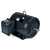 U1877A, 60 & 50 HP, 3 Ph, 60 & 50 Hz, 230/460 & 190/380 V, 1800 & 1500 RPM, 364TV Frame, TEAO, Fire Pump Motor, 364TTTCD16534