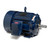 W686, 75 HP, 3 Ph, 60 Hz, 575 V, 1200 RPM, 405T Frame, TEFC, XRIÂ®-841 Severe Duty Motor, 405THFS19081