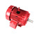 Y1630, 100 & 75 HP, 3 Ph, 60 & 50 Hz, 230/460 & 190/380 V, 1800 & 1500 RPM, 405T Frame, TEFC, Fire Pump Motor, 405TTFS14328