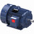 Marathon Electric E2121, 15 Hp, 3600 Rpm, 254T FR, 230/460 Vac, 3 PH, TEFC, Rigid Base, General Purpose Motor, 254TTFL16001.