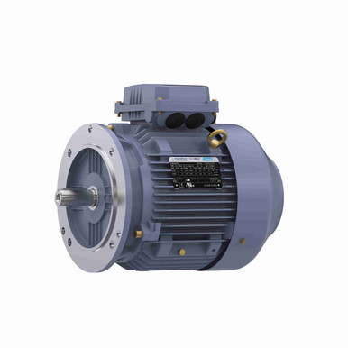 R224, 5 1/2 Hp, 3600 Rpm, 112M FR, 230/460 Vac, 3 PH, TEFC, Rigid Base ...