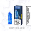 Blueberry Raspberry Lemon Lost Mary MO5000 Disposable Vape With Package Box