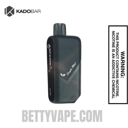 Simple Mint Pillow Talk Nic Control NC40000 Disposable Vape