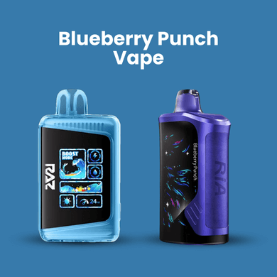 Blueberry Punch Vape