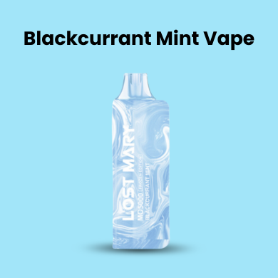 Blackcurrant Mint Vape