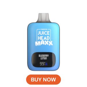 blueberry-lemon-freeze-Juice Head