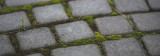 Get Rid of Moss on Driveways & Patios